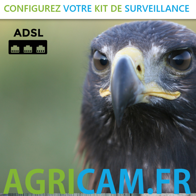 Surveillance de bâtiments agricoles -  Surveillance de bâtiments agricoles -