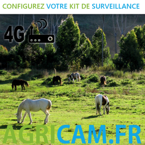 Caméra de surveillance pour pâturages, vignes, bâtiments agricoles - 