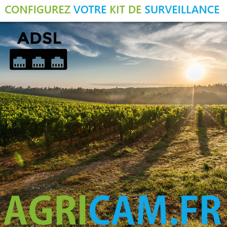 Camera de surveillance Prés, Domaines viticoles, Pâtures. - Camera de surveillance Prés, Domaines viticoles, Pâtures. -