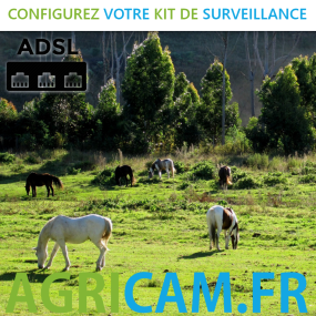 Camera de surveillance Prés, Domaines viticoles, Pâtures. - 