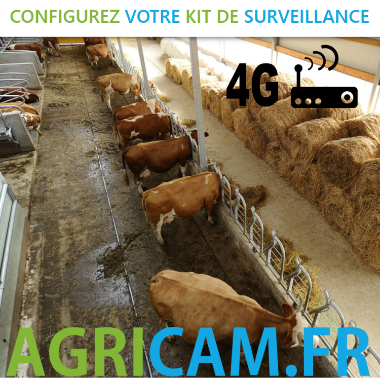 vidéo surveillance pour Stabulation - vidéo surveillance pour Stabulation -