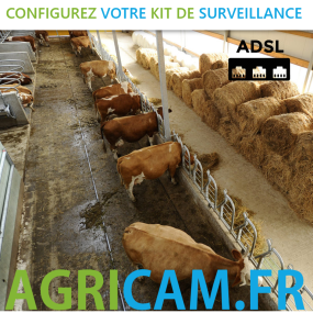 Caméra de surveillance pour Stabulation - 