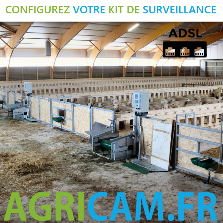 Vidéosurveillance pour bergerie - Vidéosurveillance pour bergerie -