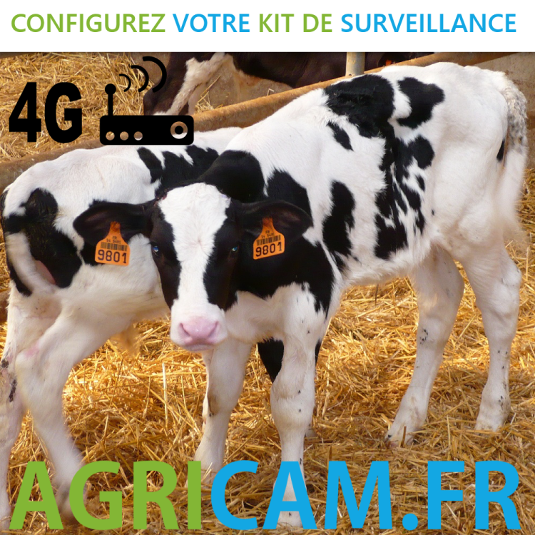 Kit caméra pour Parcs fermés Vêlage Agnelage - Kit caméra pour Parcs fermés Vêlage Agnelage -