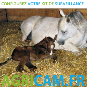 Kit caméra pour Parcs fermés Vêlage Agnelage - 