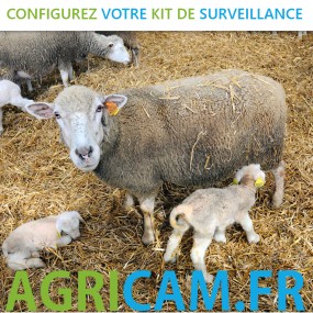 Kit caméra pour Parcs fermés Vêlage Agnelage - 