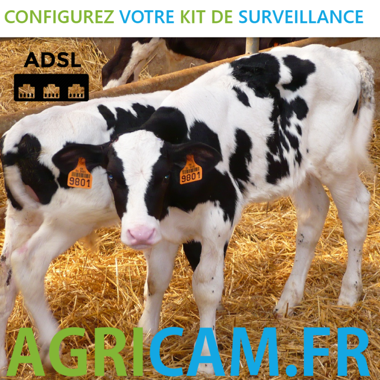 Kit caméra de surveillance Parcs fermés Vêlages Agnelages - Kit caméra de surveillance Parcs fermés Vêlages Agnelages -