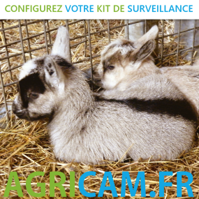 Kit caméra de surveillance Parcs fermés Vêlages Agnelages - 