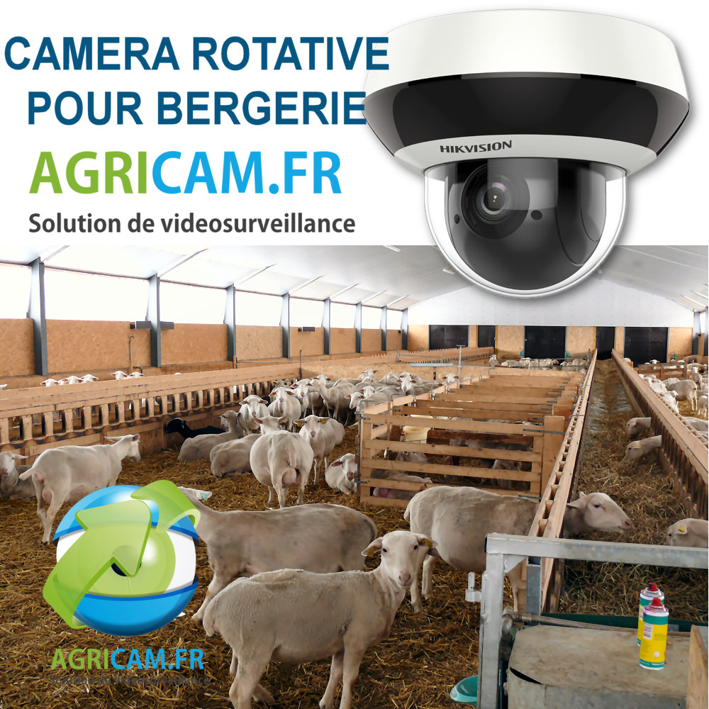 video surveillance de bergerie