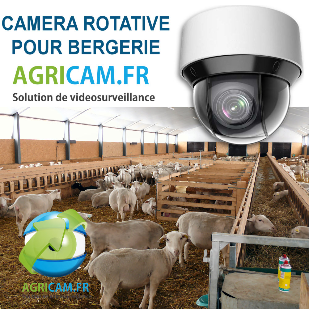 caméra de surveillance pour bergerie