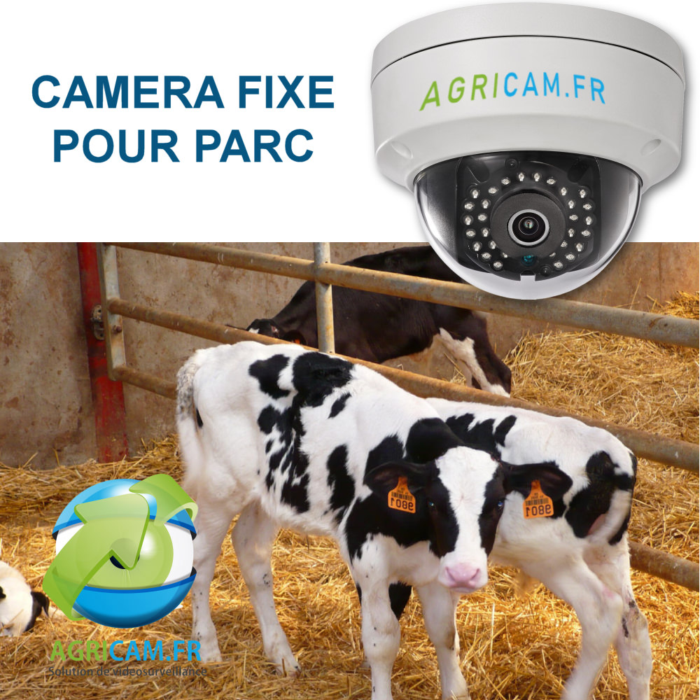camera fixe surveillance parc